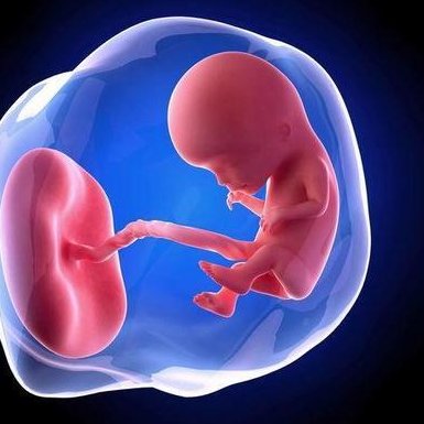 格鲁吉亚第三代试管婴儿技术，孕育，呵护生命新章