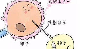 2026年在丽水去海南慈铭博鳌医院做三代试管的成功率有多少？