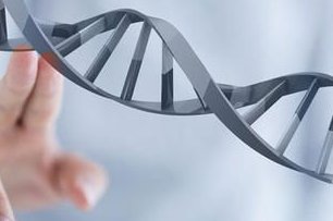 2026湖北试管婴儿医院排名正式公布(附三代试管成功率参考)