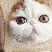 重庆做试管助孕大概费用是多少？当地试管医院助孕技术资质介绍