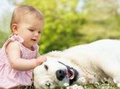 做试管孩子选择要多少钱？做第三代试管婴儿没有优质胚胎怎么回事？