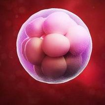 如何检查卵巢早衰是否正常？卵巢早衰做试管婴儿成功率高吗？