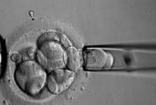 正规美国三代试管婴儿医院推荐，十家值得关注的医疗机构一览