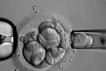 湖北宜昌可以助孕的私立机构汇总一览，附热门助孕公司导航